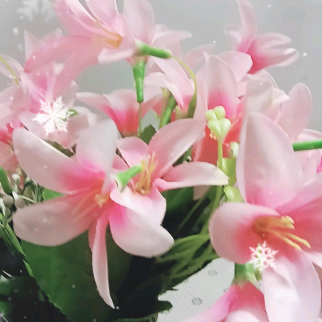 雲彩霞满天