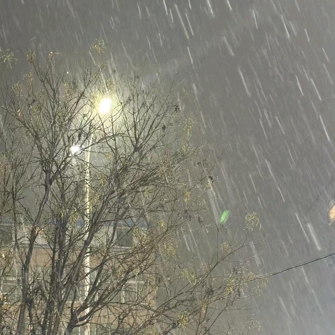 念辞
