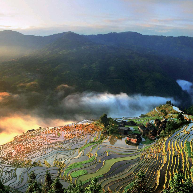 乡村张姐（苗侗粮仓）