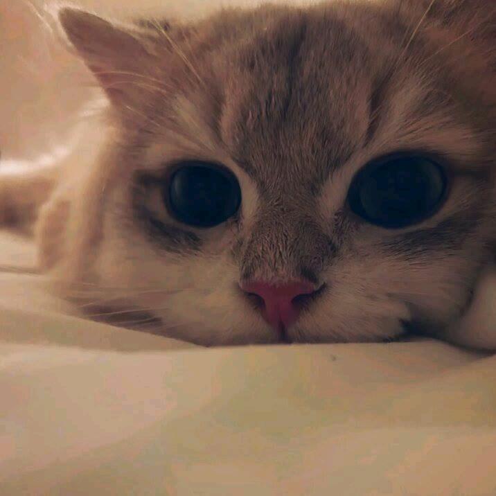 小恒.