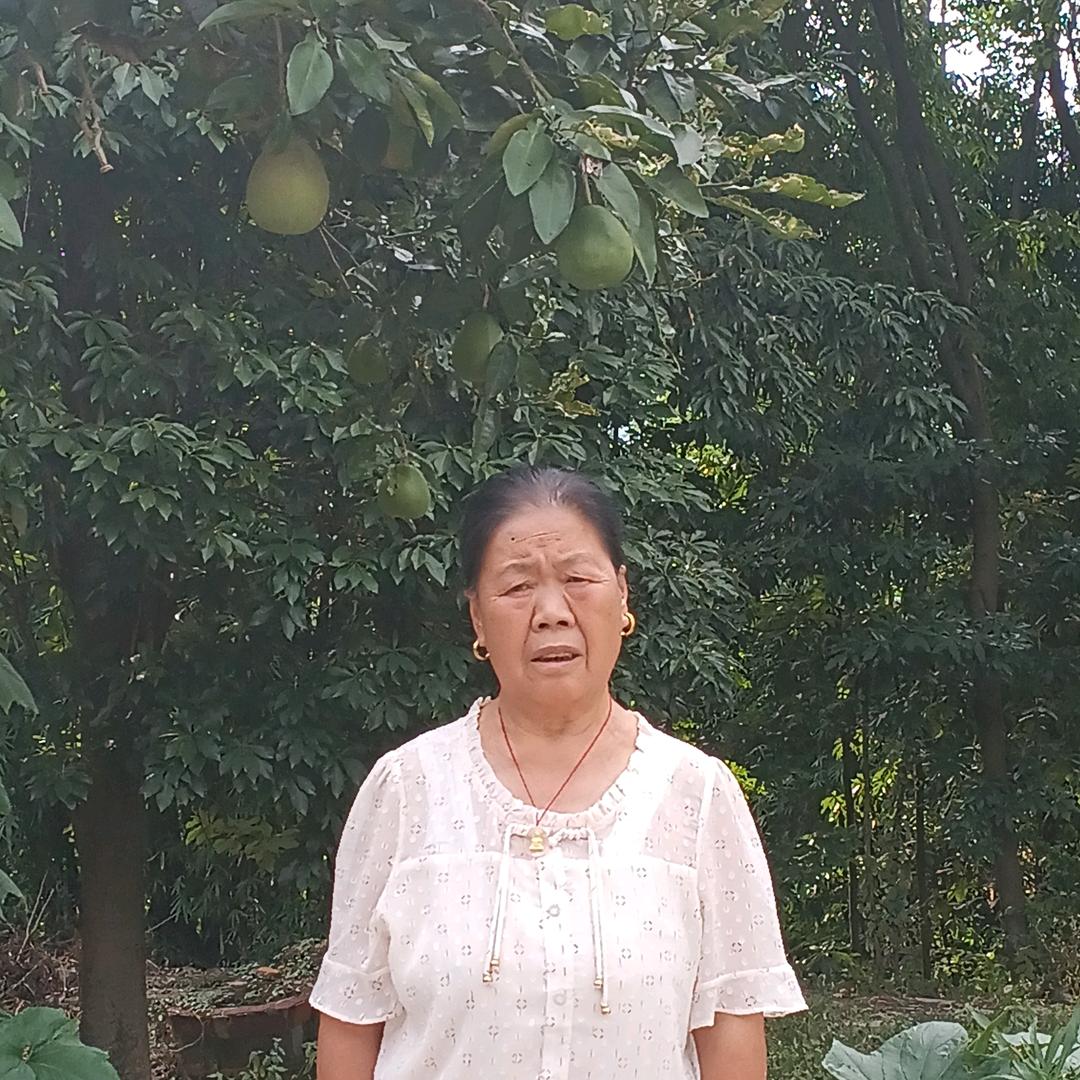 饶继凤