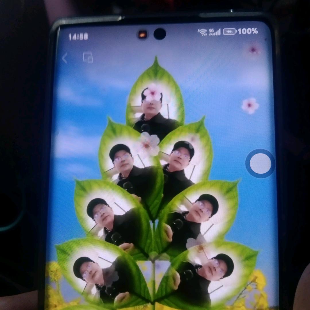 感恩小号不定时间直播