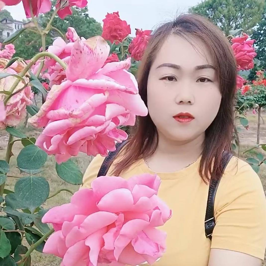 三月间的桃花