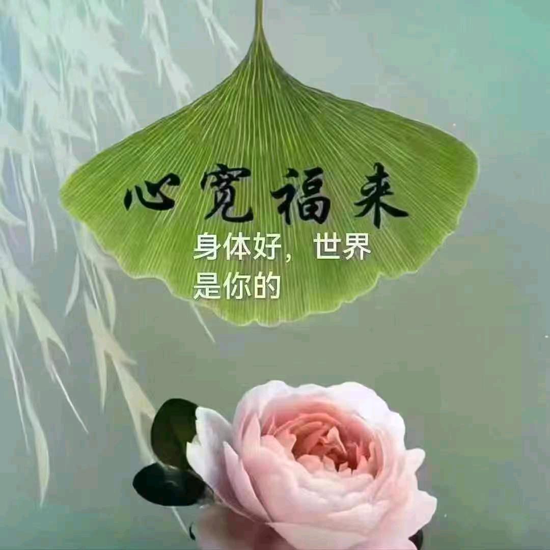 ៚💞叶 尓៚💞