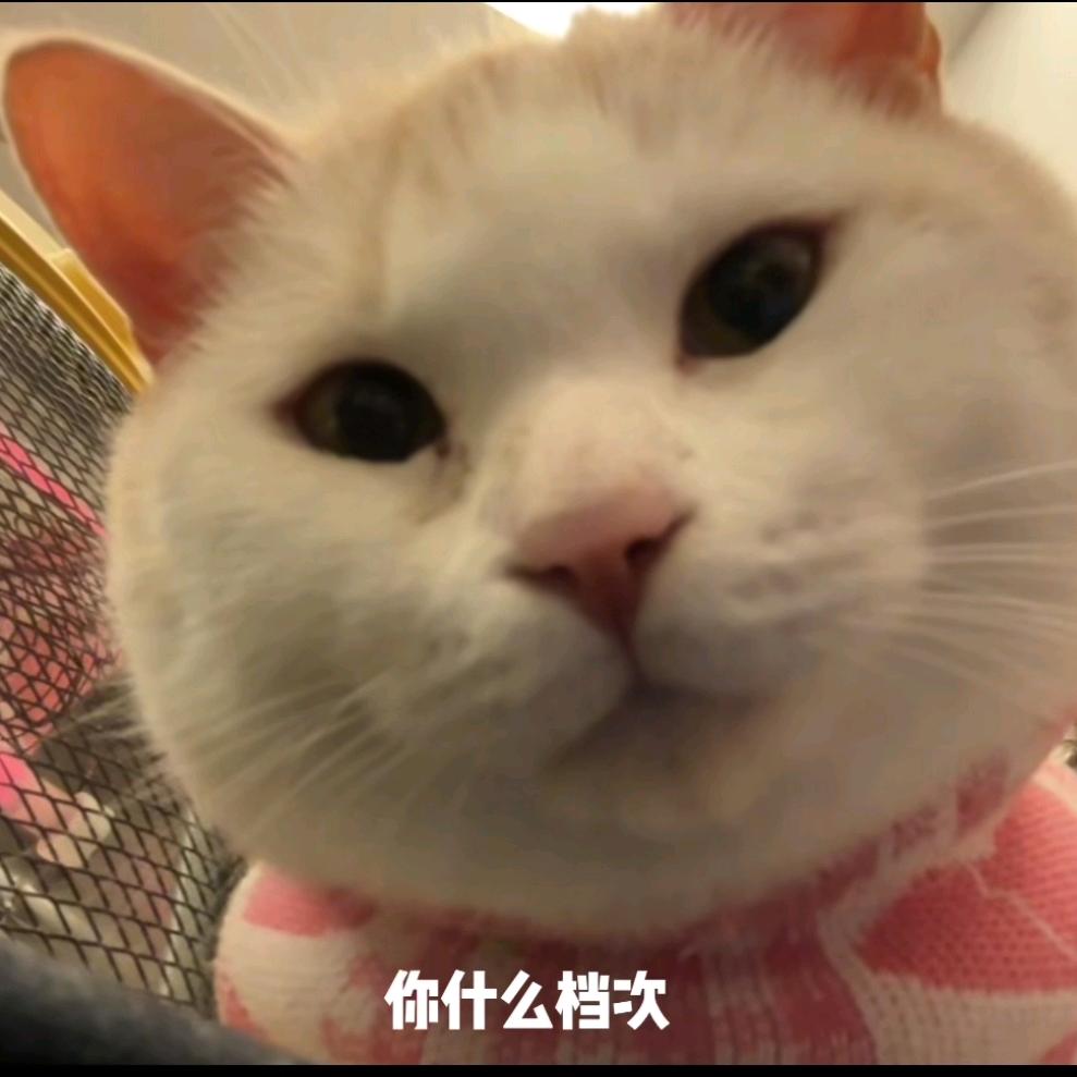 萤火突击凌鹤