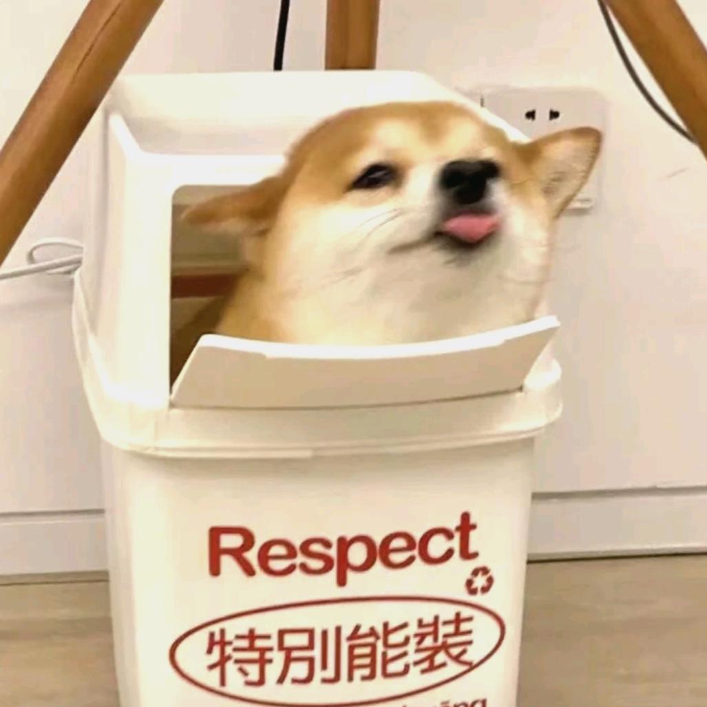 Lk低调