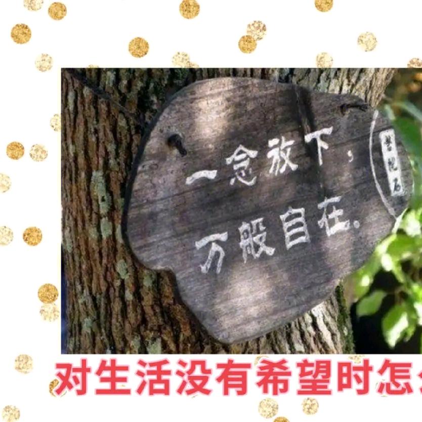 冰猫儿