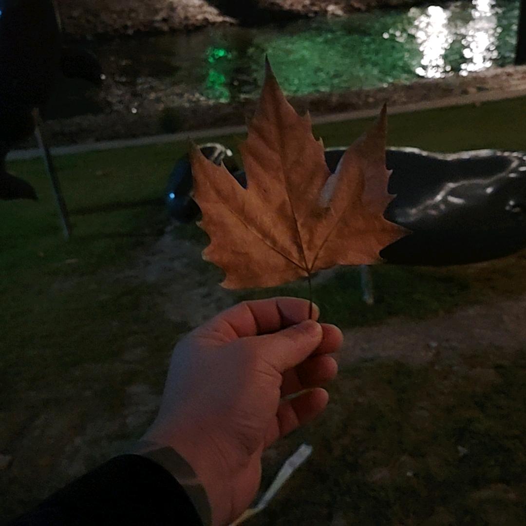 🚬᭄ঞৣঁ陌生人᭄