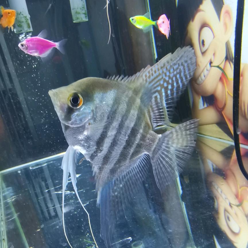 浪里个浪！