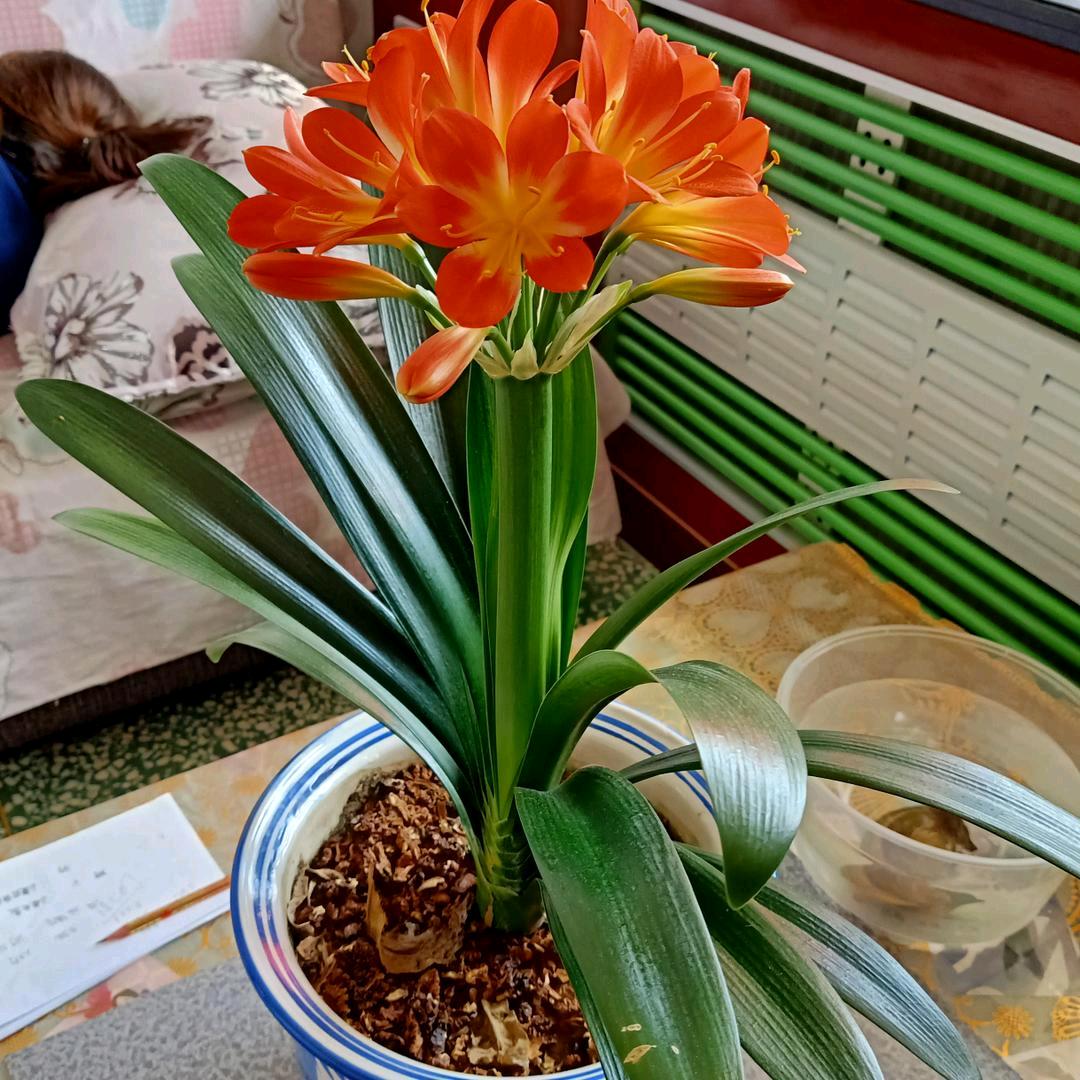 開心快乐