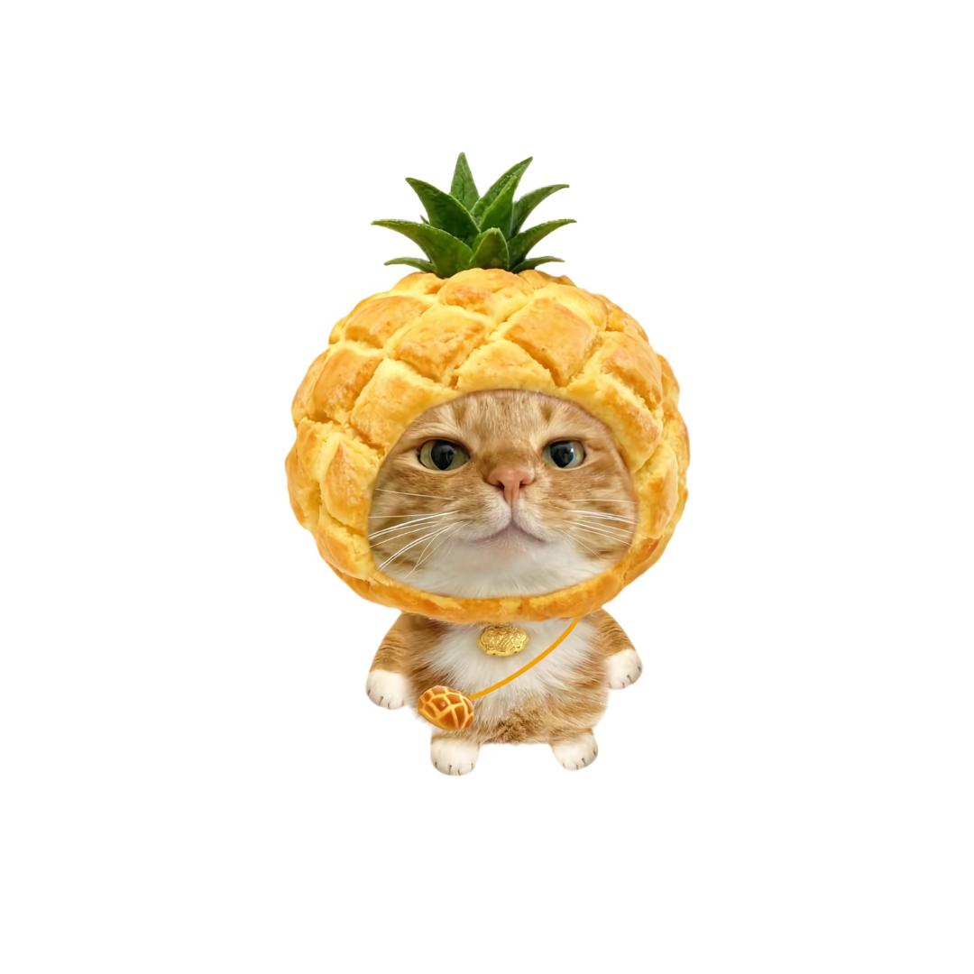朝光许愿
