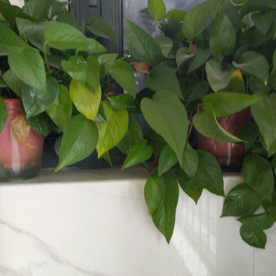顺其自然.