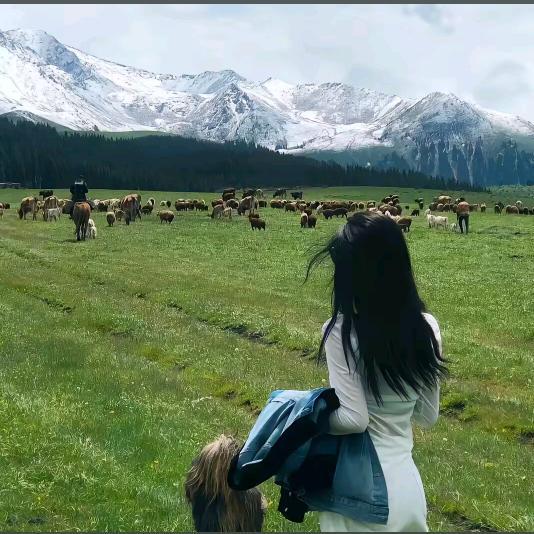 发呆呆呆🐏