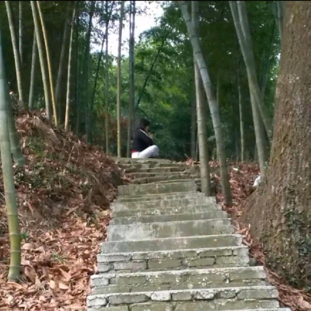 七零后静雅独行🍀🌹