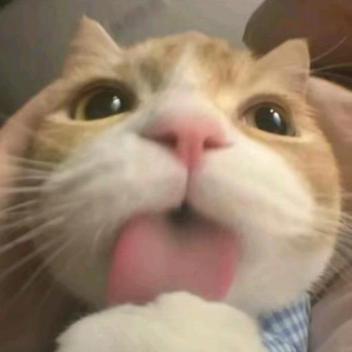 ( •͈ᴗ⁃͈看淡一切)ᓂ- - -♡