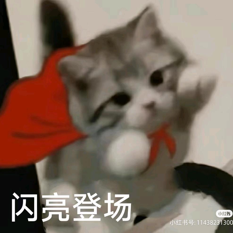 苒苒苒苒苒苒苒宝