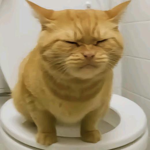 米奇大王
