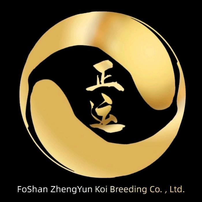 正运锦鲤
