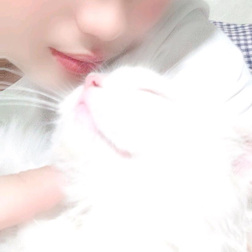 醉红羽