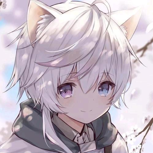 喵喵喵喵喵₍˄·͈༝·͈˄*₎◞ ̑̑