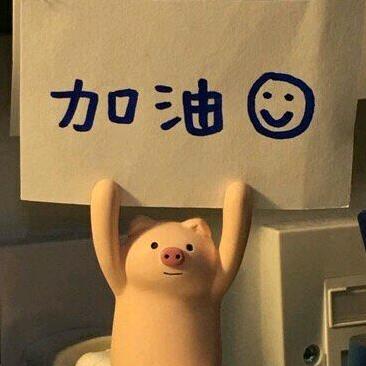 小王不会飞