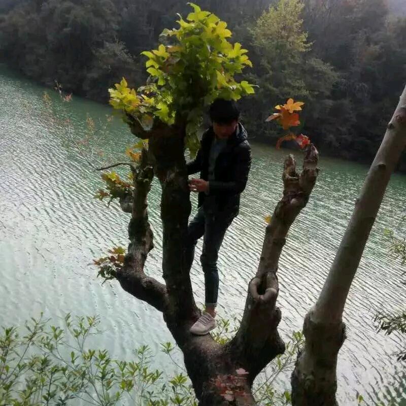 执念、