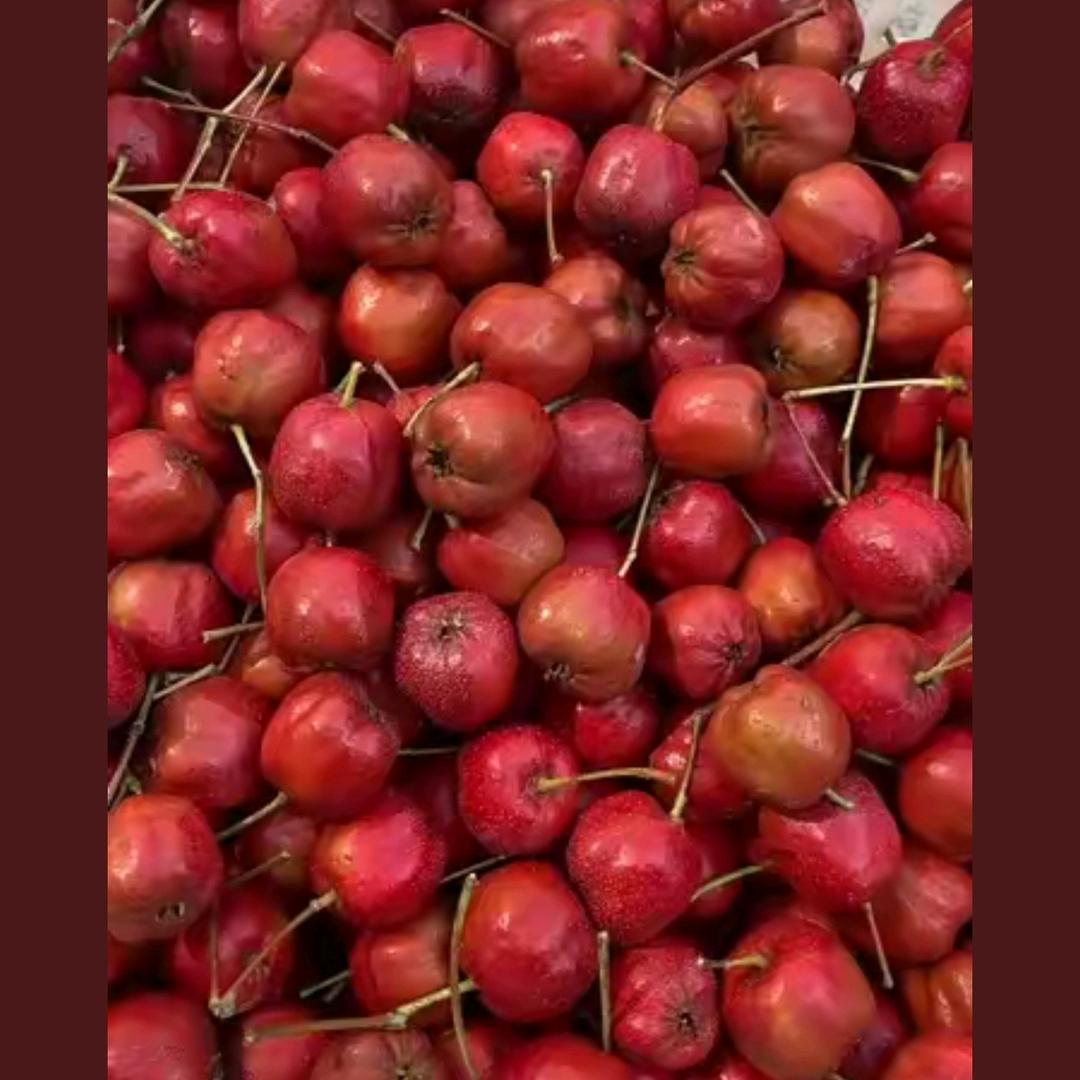 果乐兜鲜果珍品