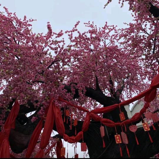 如果有一天我们都老了