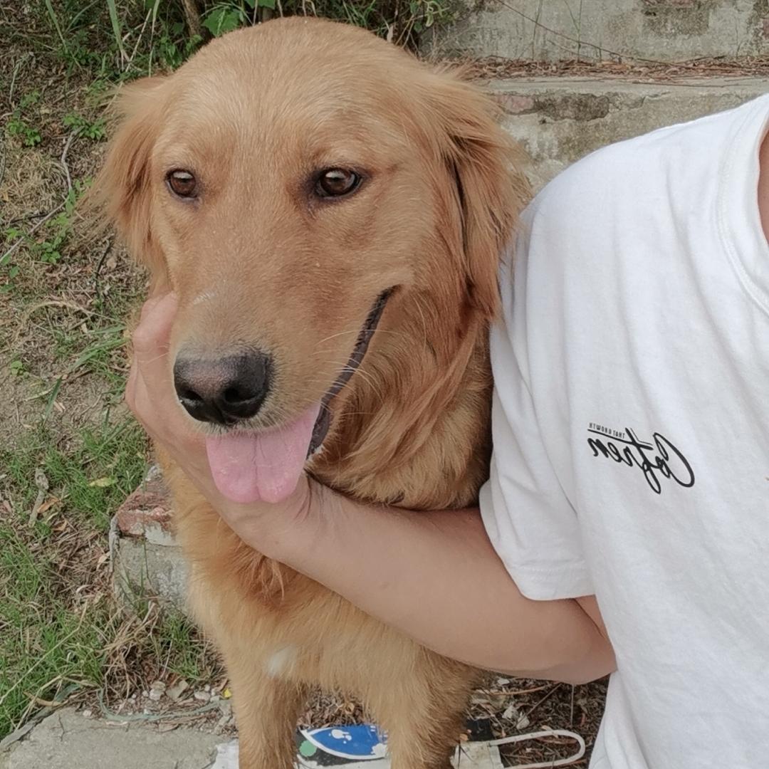 黑暗之渊691277413