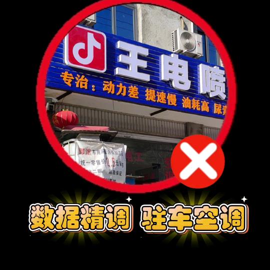 王电喷（动力调校）