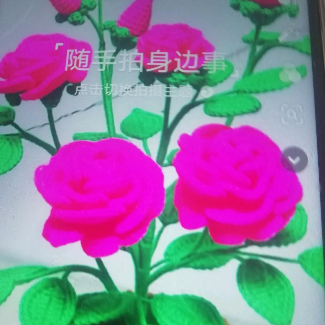 张伯兰