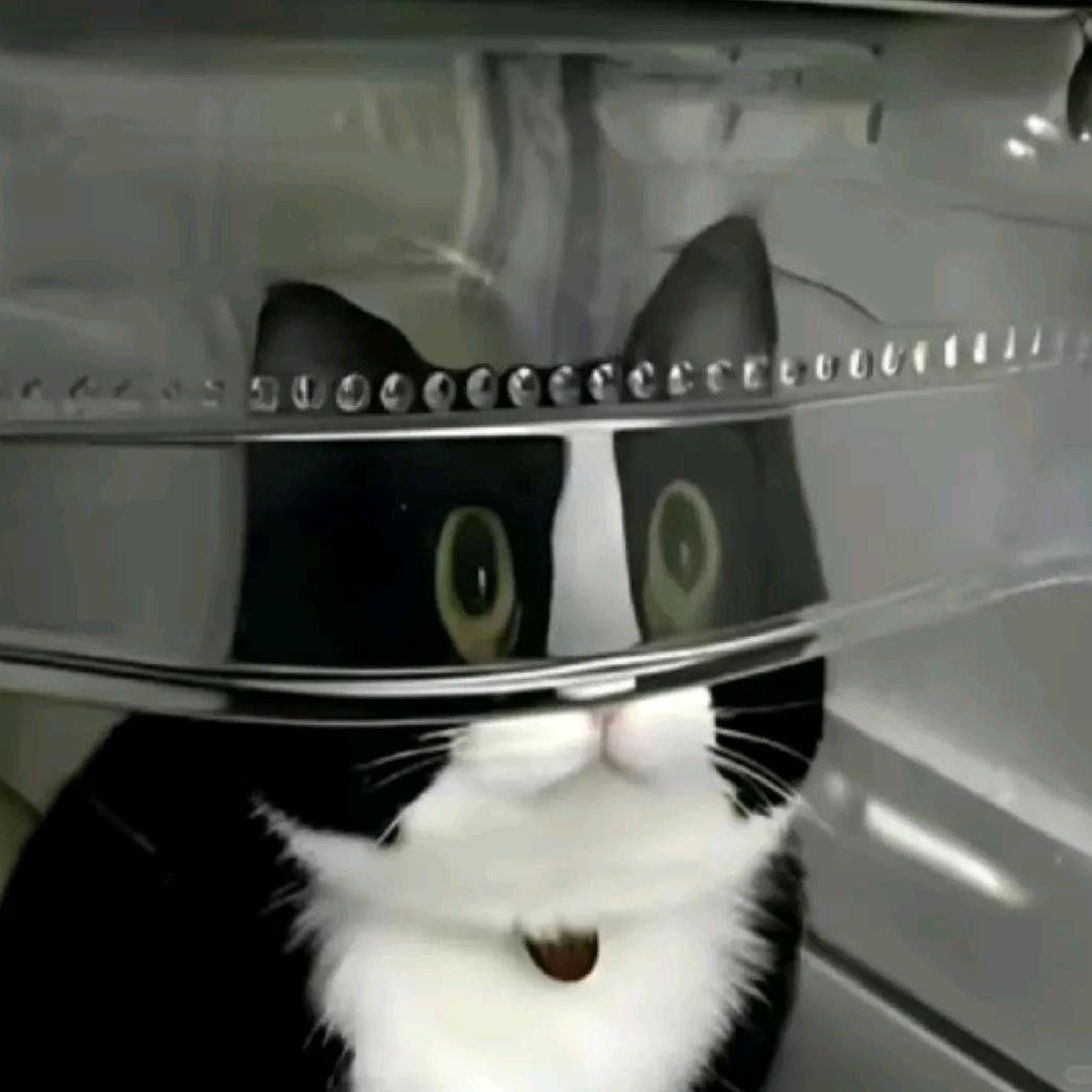 英勇鼠将军（三角洲跑刀版）