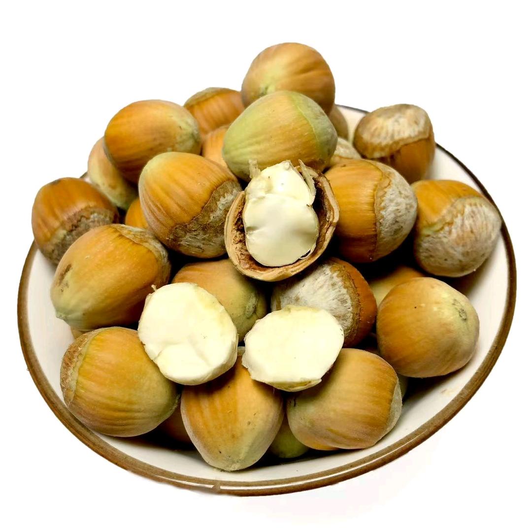 小井干果