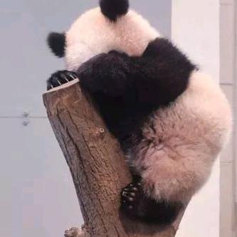 欣杰穿戴甲-娇娇 下午场