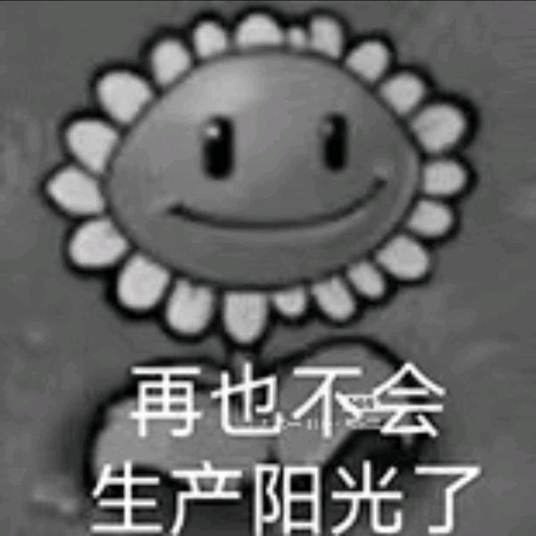 一帆风顺顺顺