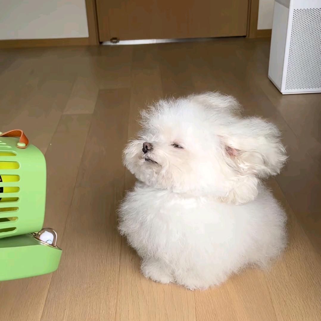 谢超