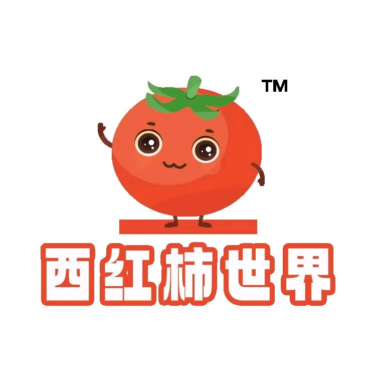 西红柿世界