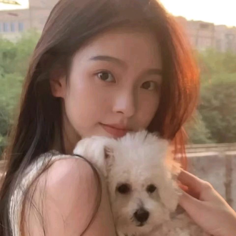 柴鱼