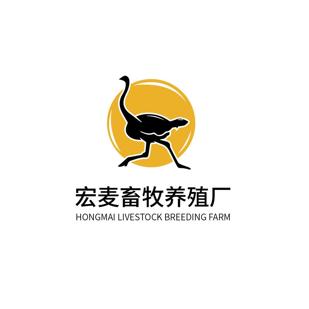 宏麦吉