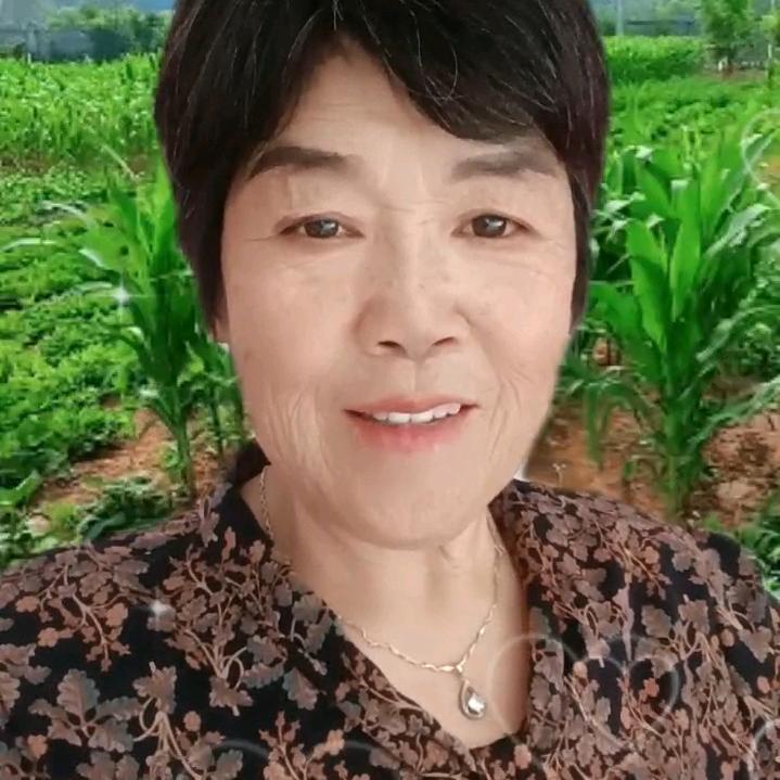 如意人生