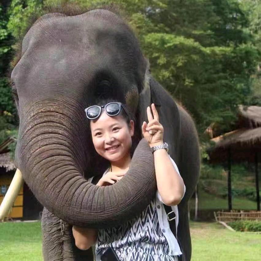莲花儿
