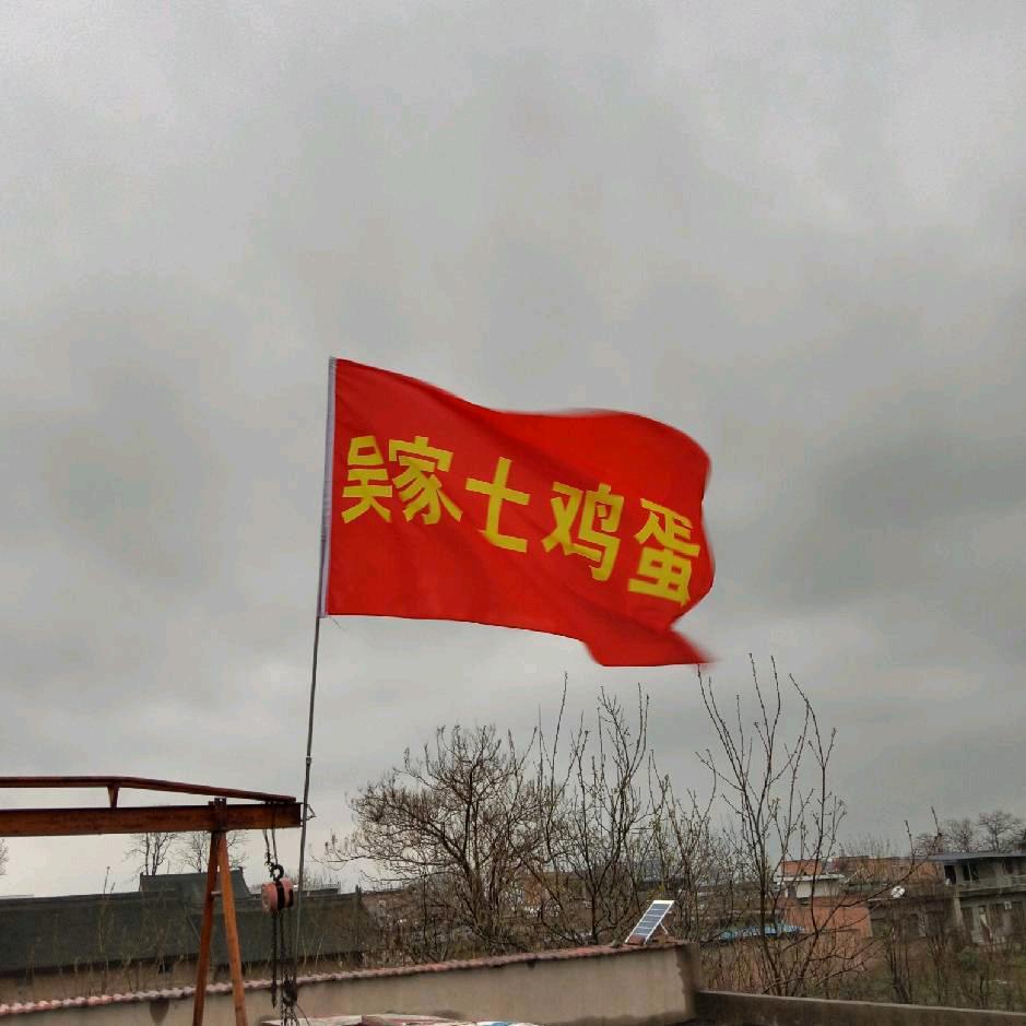 西安武哥《吴家土鸡》绿壳蛋鸡鸭蛋