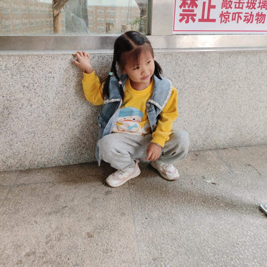 安安编发