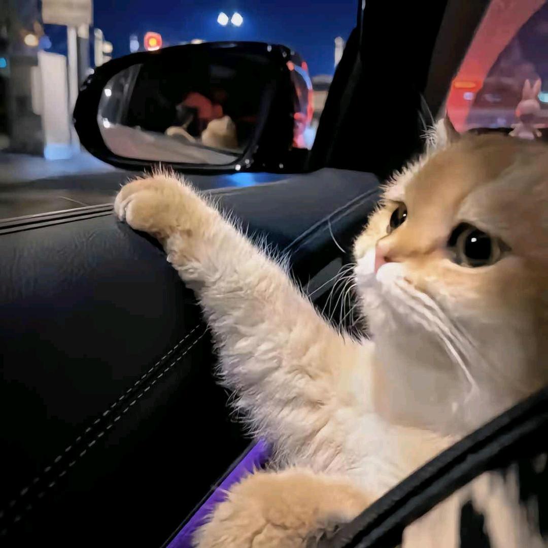 雾止落日