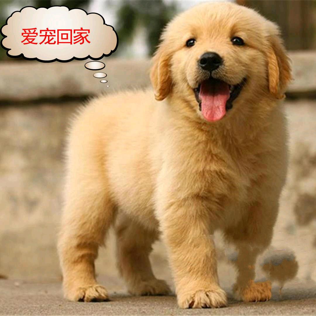 厚之信创意屋