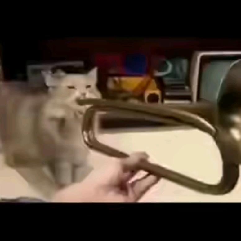 点击填写名字.