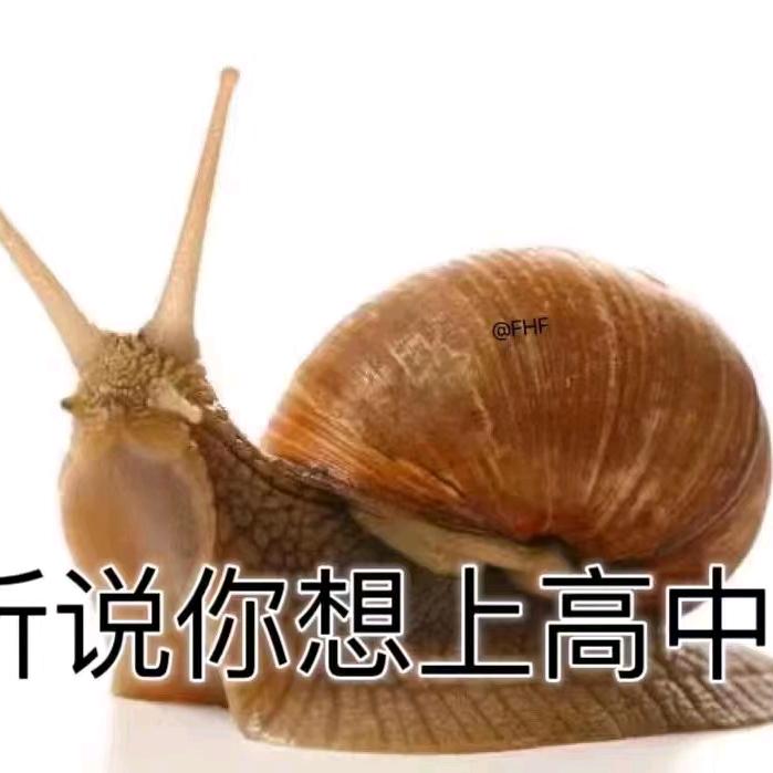 大王老师