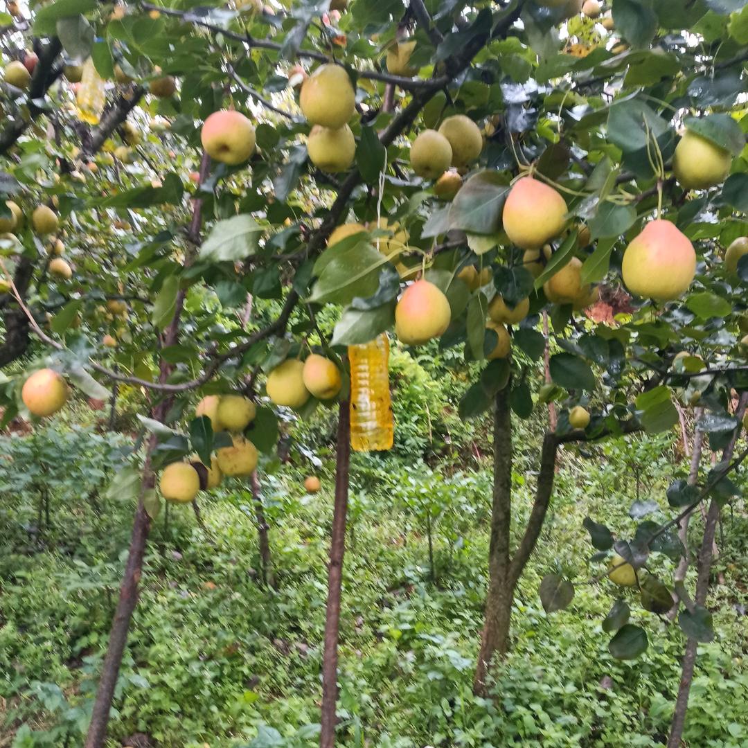 懂得珍惜。单亲爸爸。