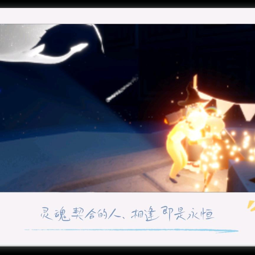翅阳飞学