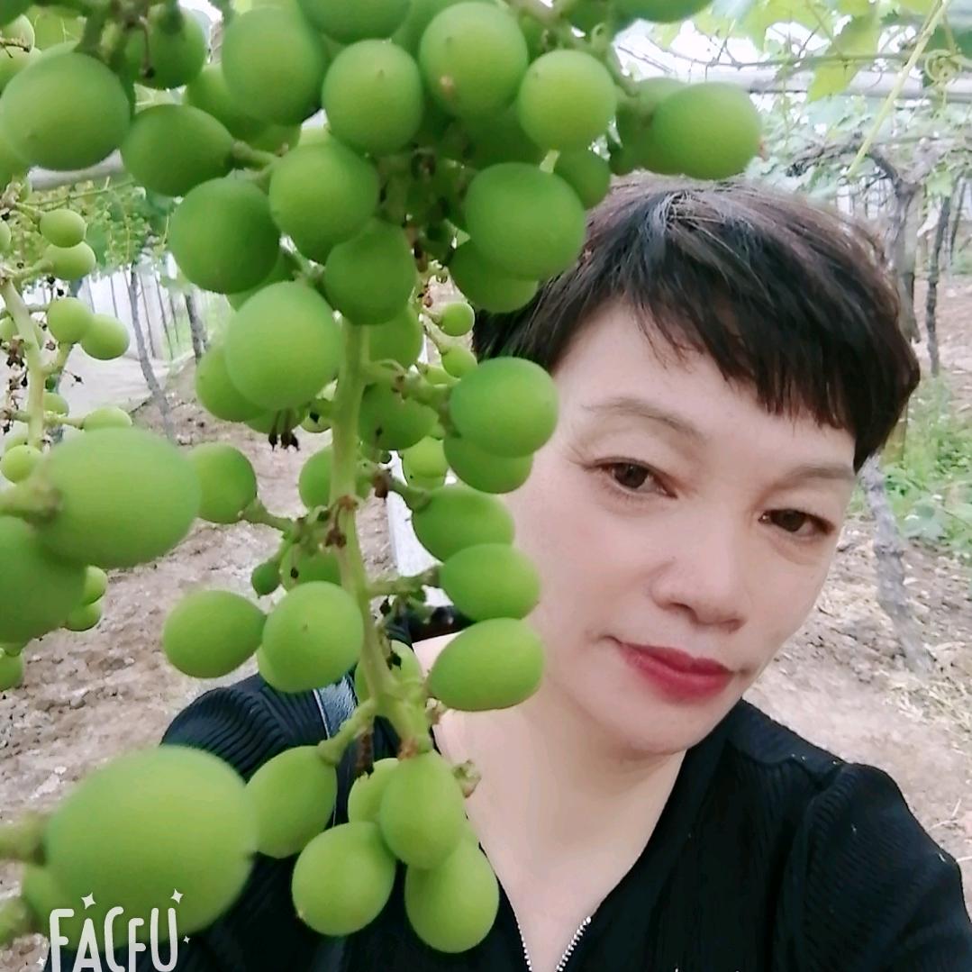 美丽人生